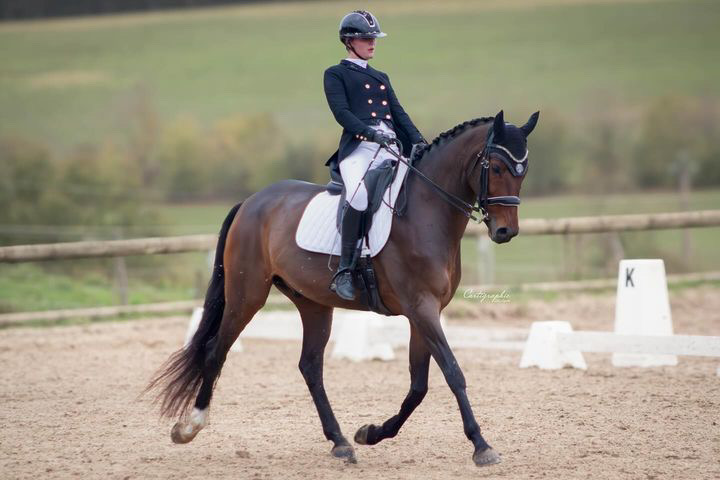 FD270E4A-93F6-4BAE-83A4-B28EA53E6DFC