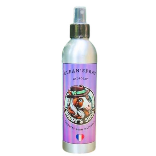 clean spray spray desinfectant