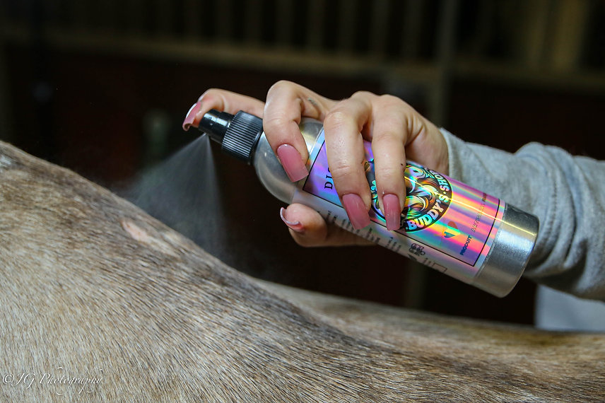 clean spray spray désinfactant