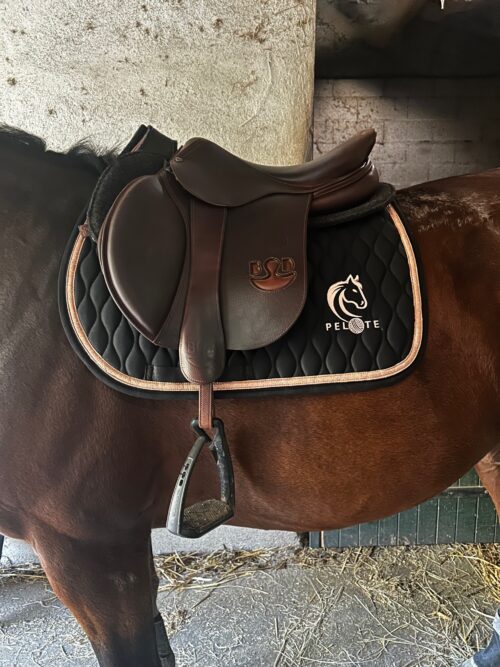 IMG_3807 Les CSO Noir - Joyce