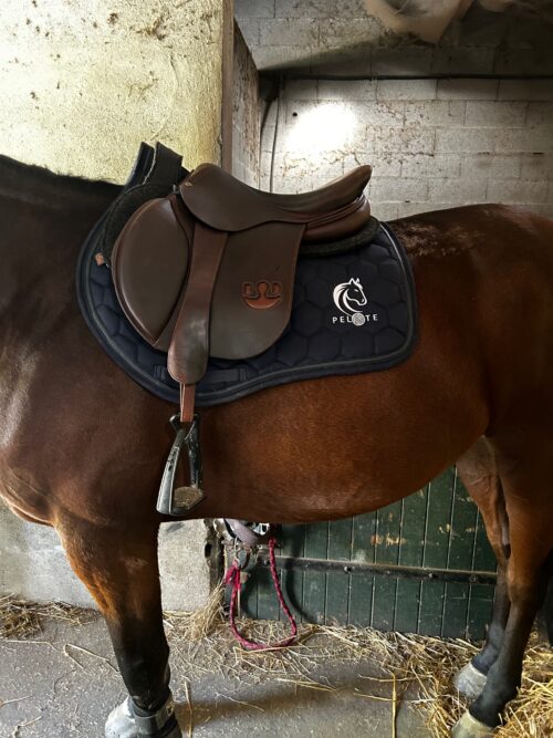 Les CSO Bleu - Baccarat