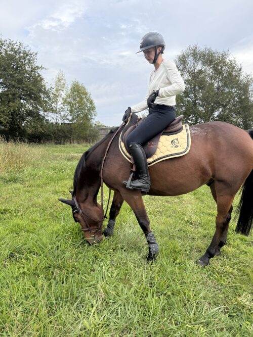 Les CSO Beige - Baccarat