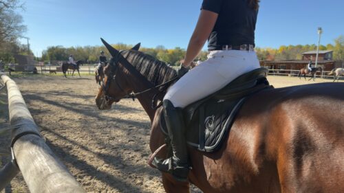 IMG_4379 (1) Les CSO Noir - Baccarat