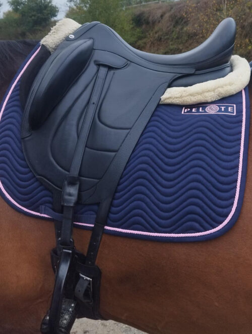 303CE01A-036D-427F-AA7A-6CF60A323CF3 Les Dressage Bleu - Starlette